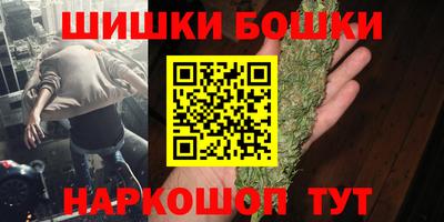 МДПВ Партизанск