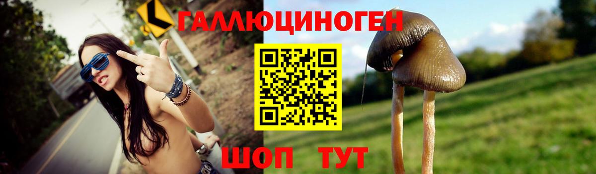 Галлюциногенные грибы MAGIC MUSHROOMS  Вход с VPN  Галлюциногенные грибы Psilocybe  Советск 