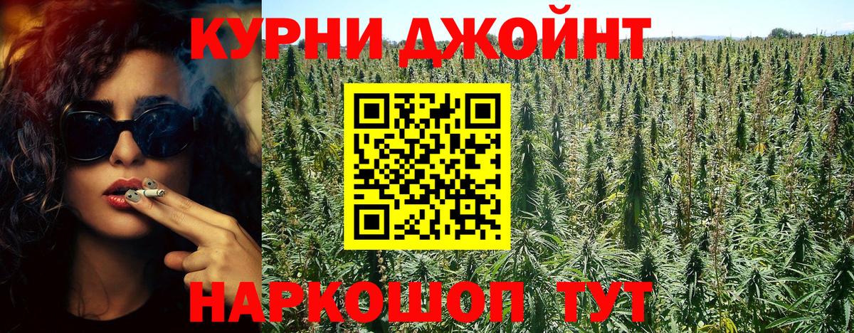 Конопля план Советск